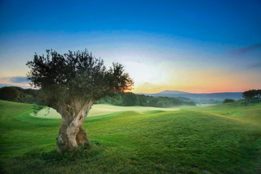 Costa Navarino - Dunes Course